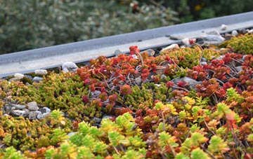 the cost of Vaynol Hall green roof installation