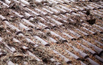 Vaynol Hall roof cleaning companies