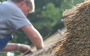 professional Vaynol Hall thatchers